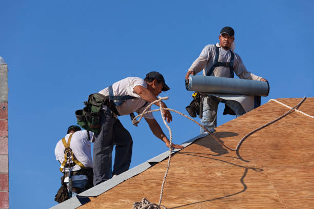 Best Metal Roofing Contractor  in Stony Point, NC